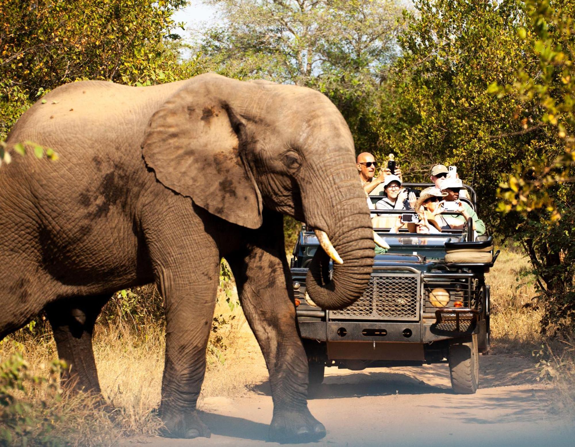 Karongwe River Lodge Karongwe Game Reserve Exterior foto